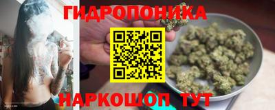сатива Нарткала