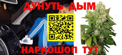сатива Нарткала