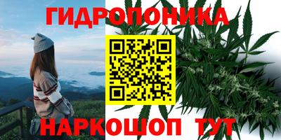 амф Наро-Фоминск