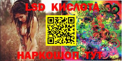 PSILOCYBIN Нальчик