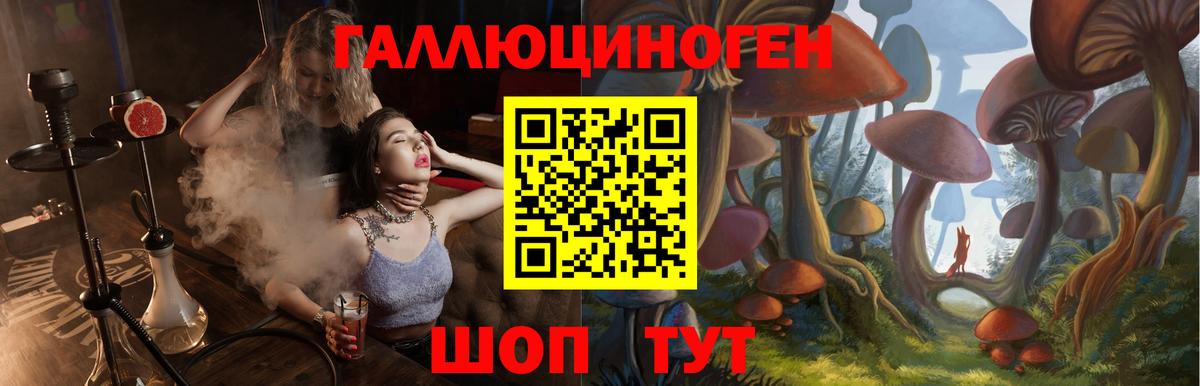 Псилоцибиновые грибы Cubensis Таганрог